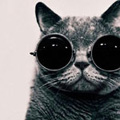 Avatar du membre